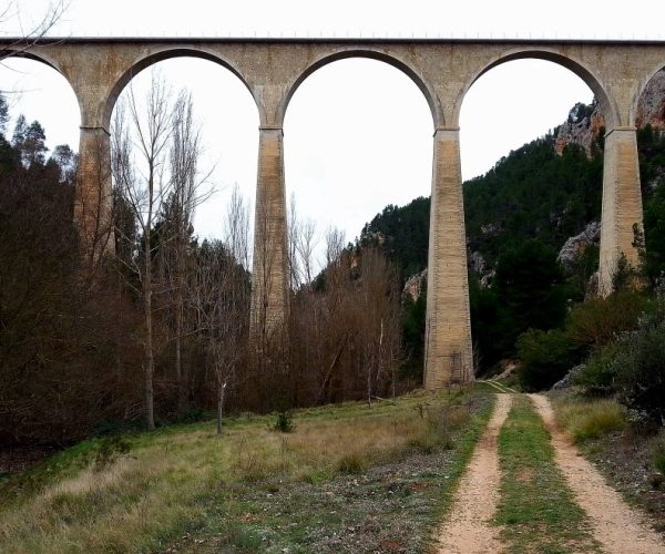 foto 45